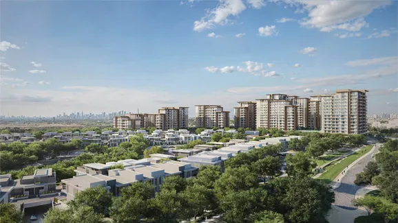 DANA Expo Valley Views