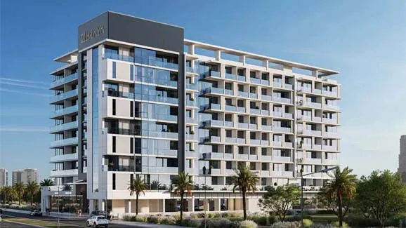 Soyo by Zimaya