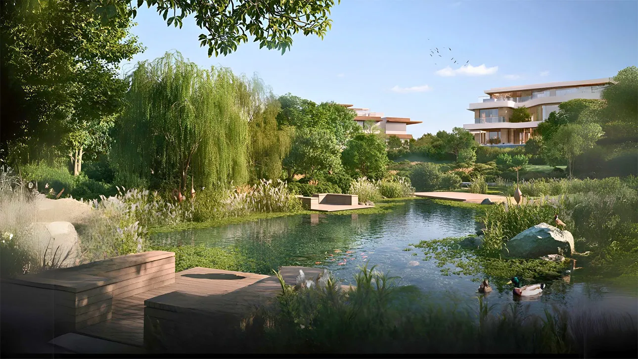Moringa Mansions