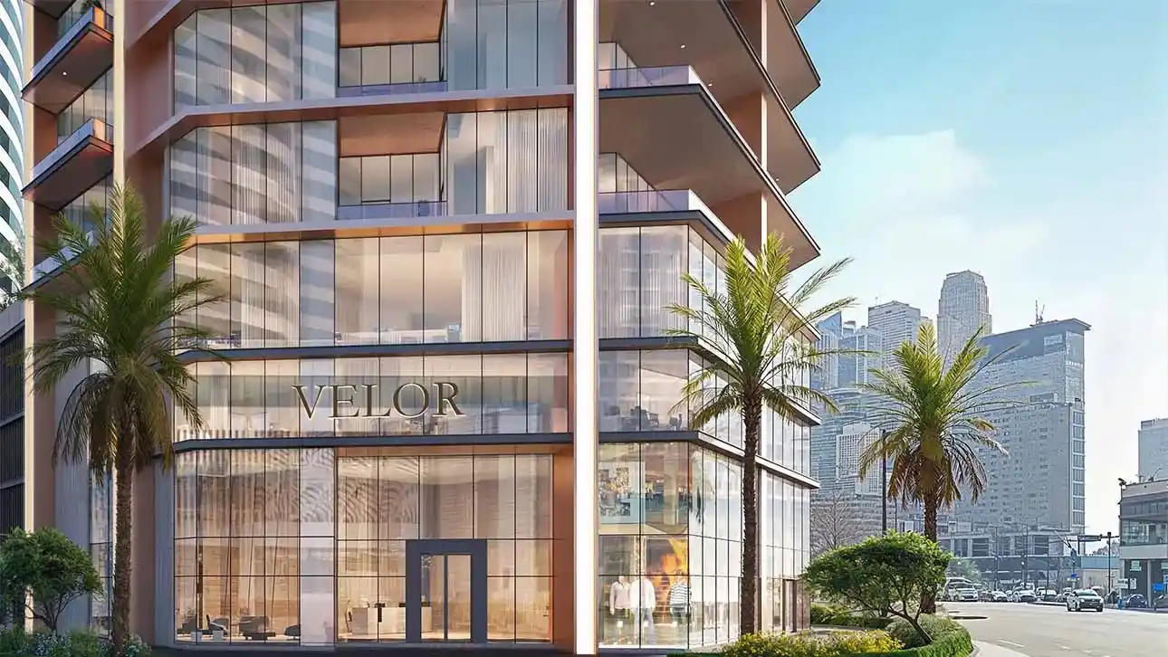 Velor by GINCO